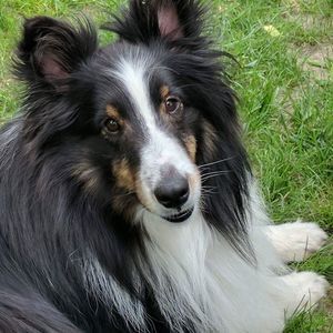 Meet your Posher, Nancy